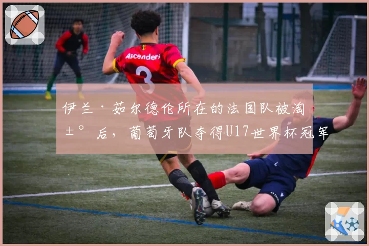 伊兰·茹尔德伦所在的法国队被淘汰后，葡萄牙队夺得U17世界杯冠军