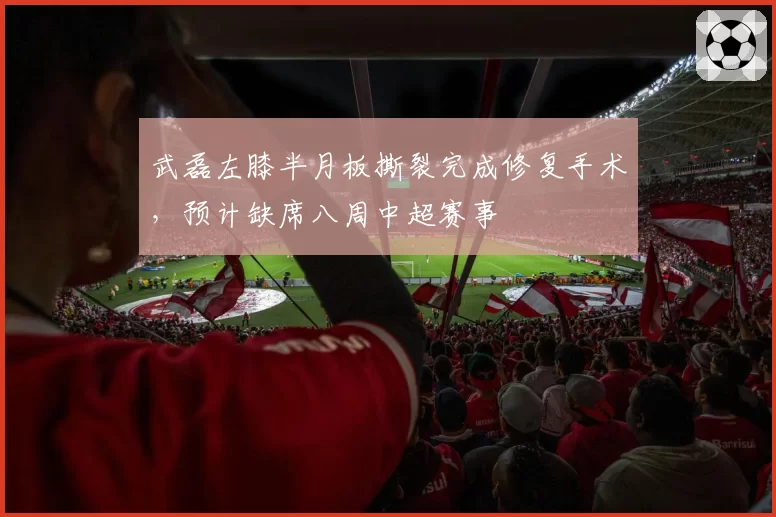 武磊左膝半月板撕裂完成修复手术,预计缺席八周中超赛事