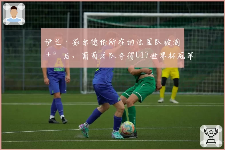 伊兰·茹尔德伦所在的法国队被淘汰后，葡萄牙队夺得U17世界杯冠军
