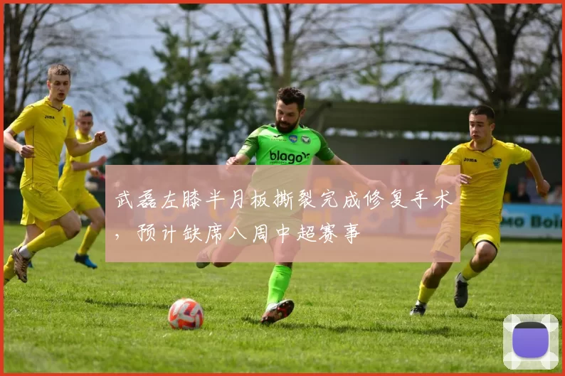武磊左膝半月板撕裂完成修复手术,预计缺席八周中超赛事